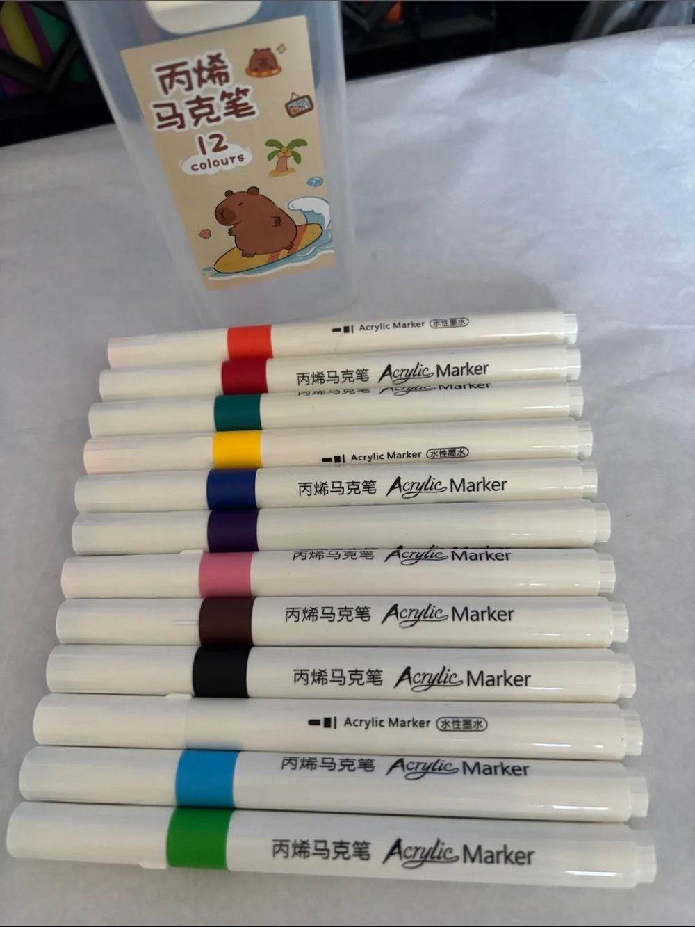 Assorted Acrylic Color Art Markers - 12 Pack